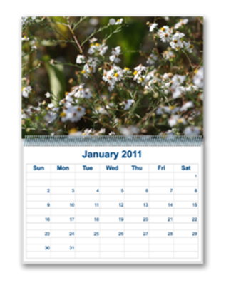 Calendars - Customizable, Wall
